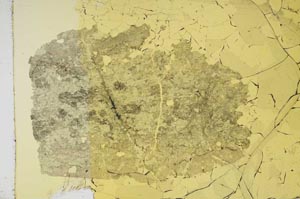 Plane Polarized, S16284