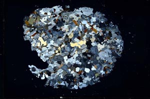 Cross Polarized, S16288