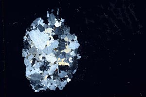 Cross Polarized, S16290