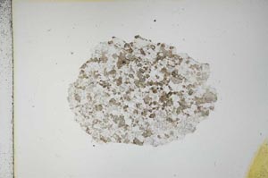 Plane Polarized, S16291