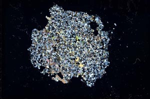 Cross Polarized, S16293