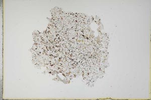 Plane Polarized, S16293