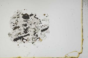 Plane Polarized, S16294