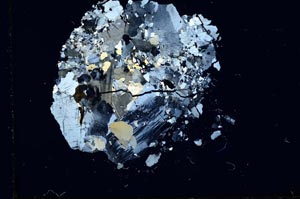 Cross Polarized, S16295