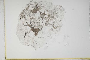 Plane Polarized, S16295