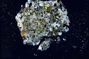 Cross Polarized, S16298