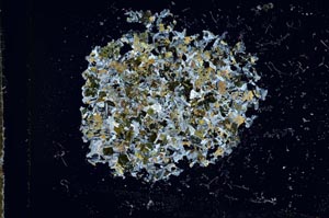 Cross Polarized, S16299