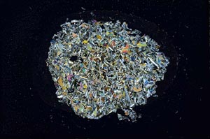 Cross Polarized, S16304