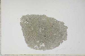 Plane Polarized, S16306