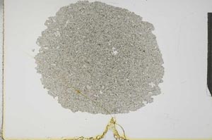 Plane Polarized, S16319