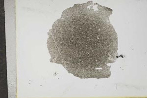 Plane Polarized, S16327