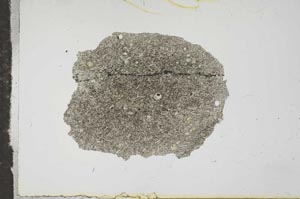 Plane Polarized, S16350