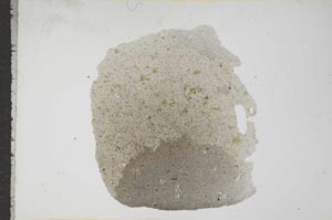 Plane Polarized, S16352