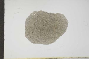 Plane Polarized, S16354