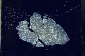 Cross Polarized, S16375