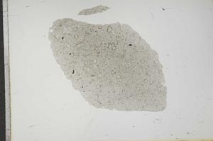 Plane Polarized, S16377