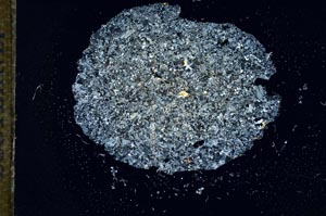 Cross Polarized, S16394