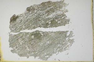 Plane Polarized, S16404