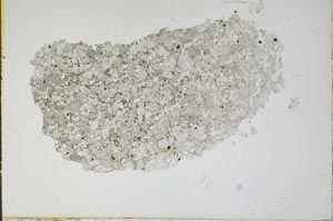 Plane Polarized, S16405