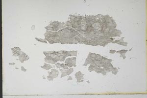 Plane Polarized, S16407