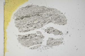 Plane Polarized, S16410