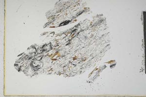Plane Polarized, S16413