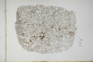 Plane Polarized, S16415