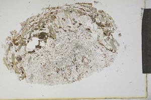 Plane Polarized, S16416