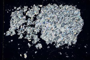 Cross Polarized, S16422