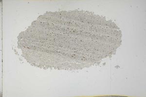 Plane Polarized, S16423