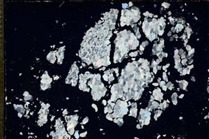 Cross Polarized, S16424