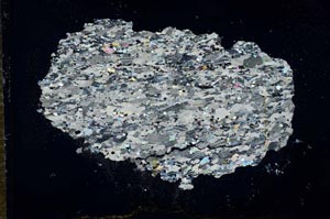 Cross Polarized, S16425