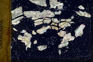 Cross Polarized, S16426