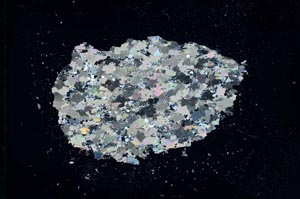 Cross Polarized, S16428