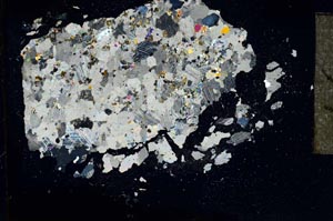 Cross Polarized, S16429