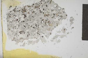 Plane Polarized, S16429