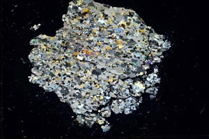 Cross Polarized, S16431