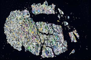 Cross Polarized, S16432