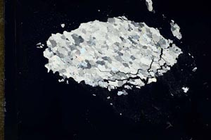 Cross Polarized, S16433