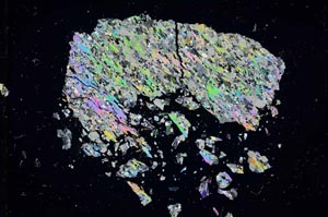 Cross Polarized, S16434