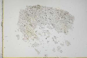 Plane Polarized, S16434