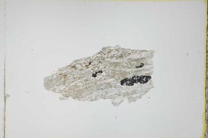 Plane Polarized, S16435