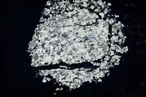 Cross Polarized, S16436