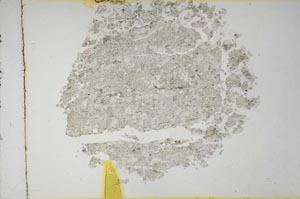 Plane Polarized, S16436