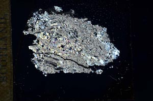 Cross Polarized, S16438