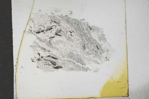 Plane Polarized, S16438