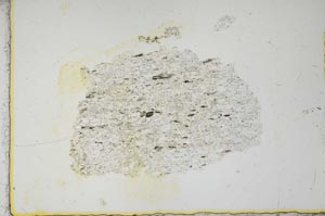 Plane Polarized, S16439