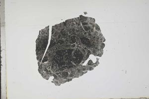 Plane Polarized, S16443