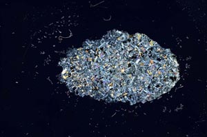 Cross Polarized, S16450