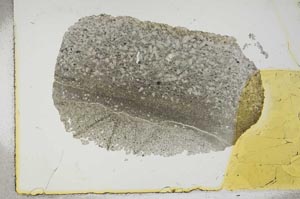 Plane Polarized, S16461